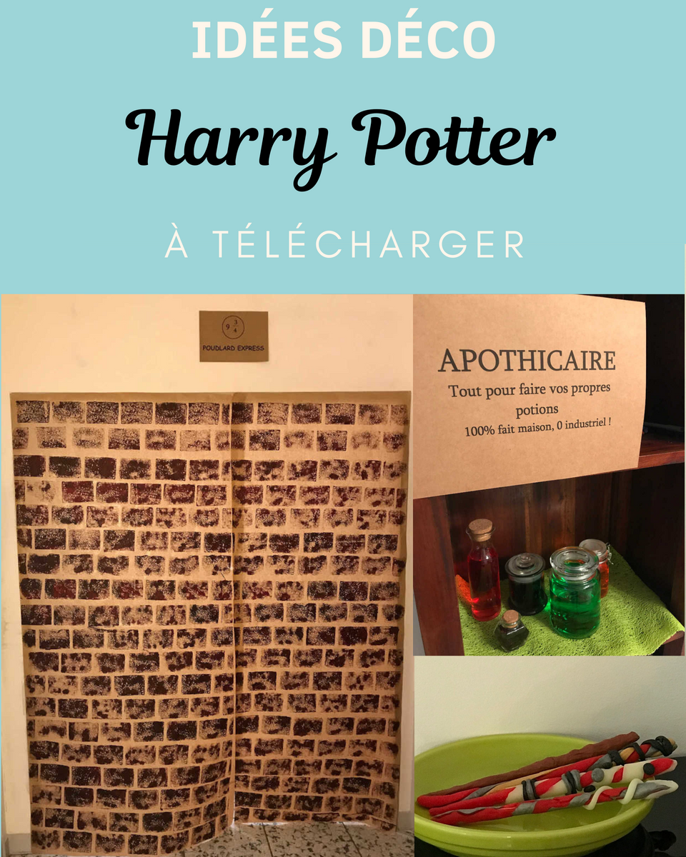 Idées déco sur le thème Harry Potter Zigzag et Libellule